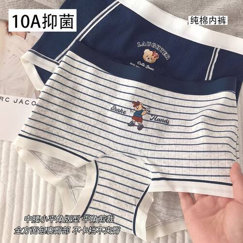 英伦小熊10A抗菌舒适纯棉小平角