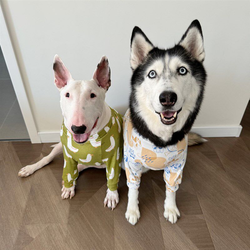 宠物居家护肘服透气宠物中大型犬护膝套大狗保护袖金毛牛头梗边牧