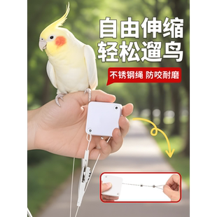 遛鸟神器自动伸缩放飞绳虎皮玄风鹦鹉外出牵引绳轻盈不伤脚鸟用品