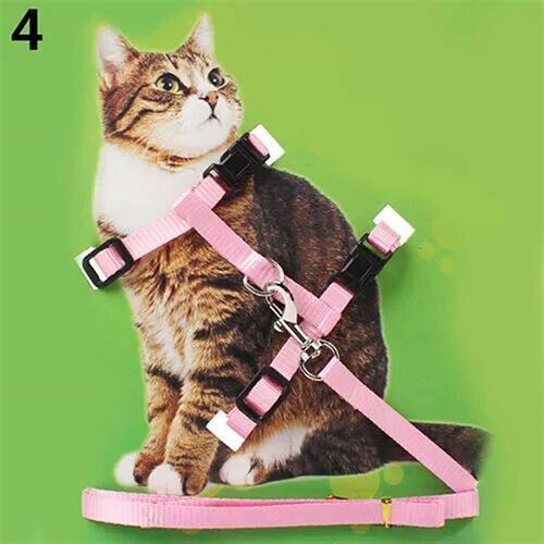 Dog Cat Collar Harness Leash Adjustable Nylon Pet Traction