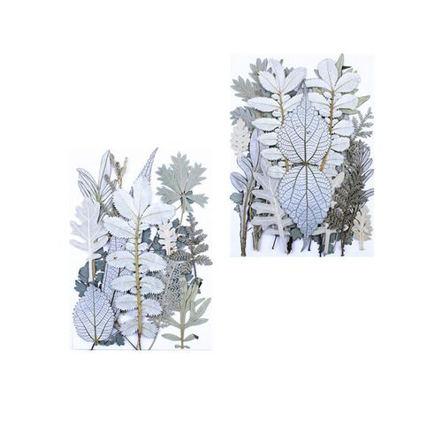 White Forest Real Leaf Material Package, Plant Specimen, Dri