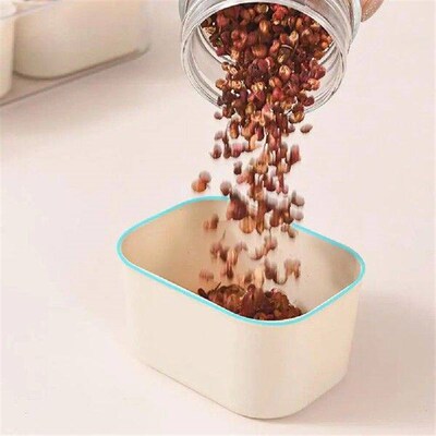 Compact Snack Organizer Spice Storage Box Fridge Crisper 9
