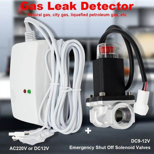 EU Plug Gas Leakage Detector with Emergency Shut Off Solenoi