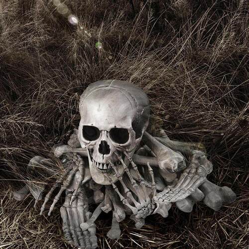 Halloween Prop 28pcs Bones Human Skeleton Body Parts Haunt