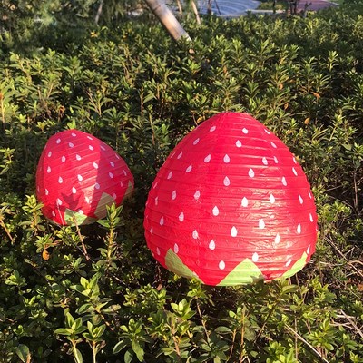 3D Strawberry-shaped Paper Lanterns Spring Strawberry Theme