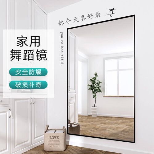 Dance Room Large Mirror Dancing Home Yoga Dance Fitness Full