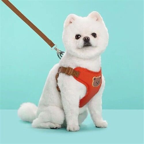 Cute Pet Harness Leash Anti-Escape No Pull Cat Chest Strap