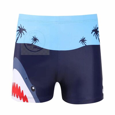 ~Childrens swimming trunks cartoon boys swimsuit baby swim