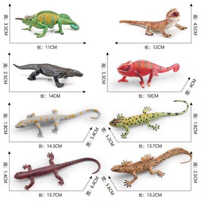 Cross border smulaton small desert chameleon lzard