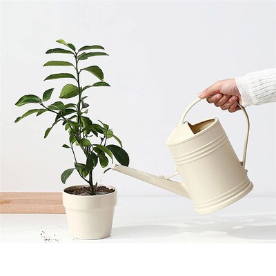 Watering Can for Indoor Plants Small Watering Cans for House