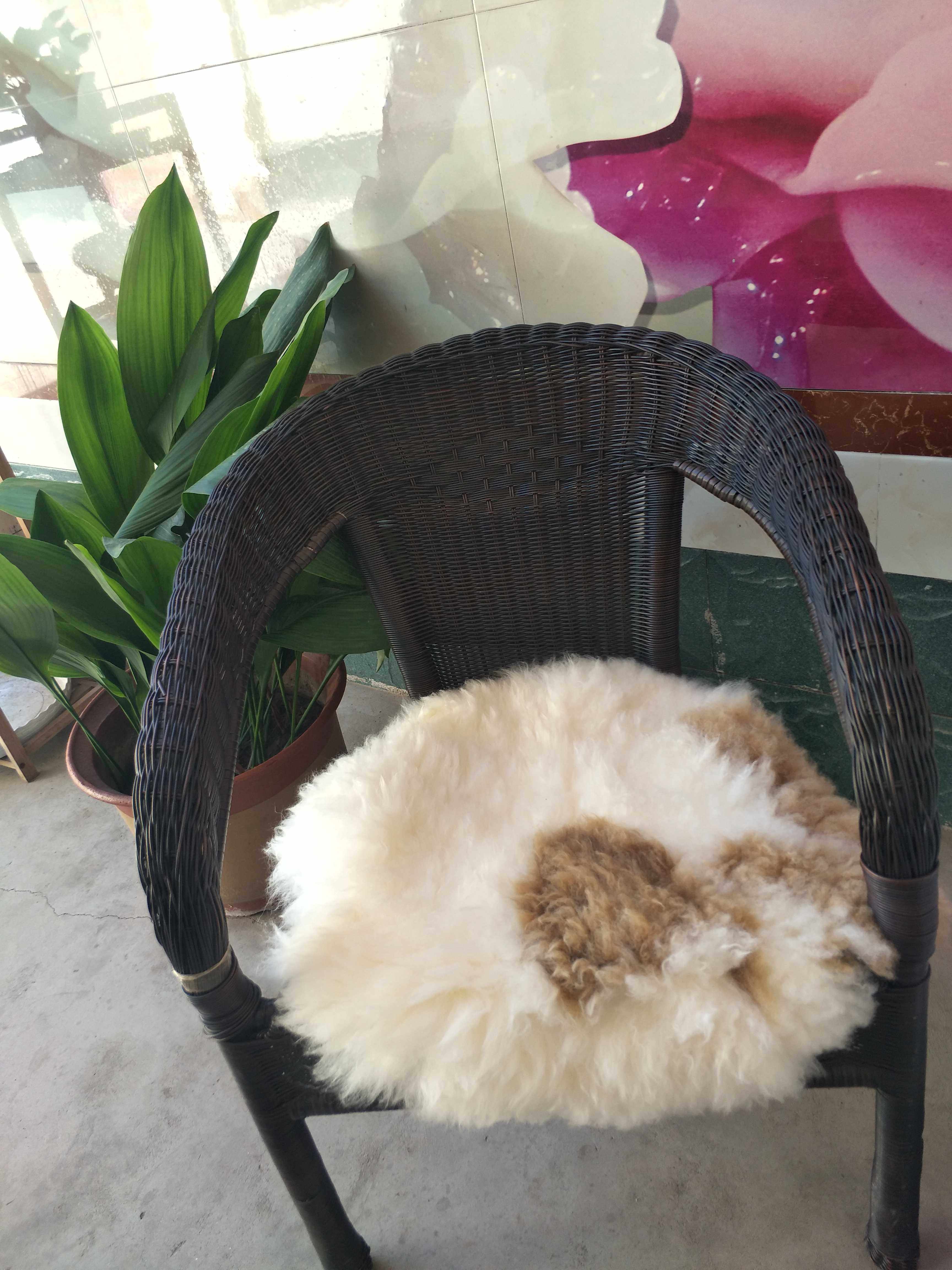 羊毛坐垫皮毛一体羊皮坐垫汽车餐椅吧台沙发地面坐垫飘窗坐垫,居家布艺,椅垫,淘宝优惠券,粉丝福利购,淘宝优惠卷