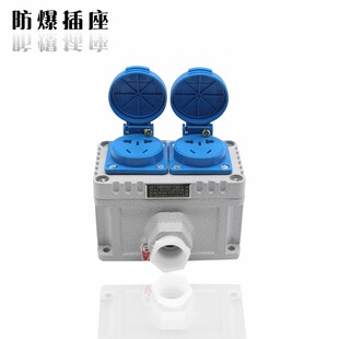 /防爆插座工业开关插座检查EX标识墙壁明装101防爆开关