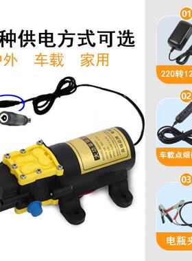 电抽动抽神水器家用电220V12V1酒泵小型车载抽油器自吸白酒吸酒器