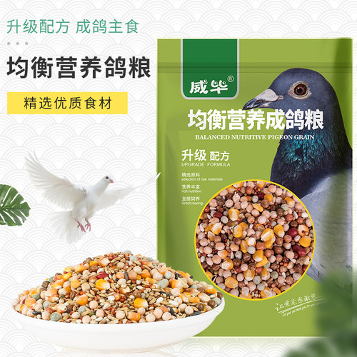 成鸽鸽粮鸟粮食鸟食鸟饲料信鸽料鸽子食营养补钙豌豆玉米鸽子饲料