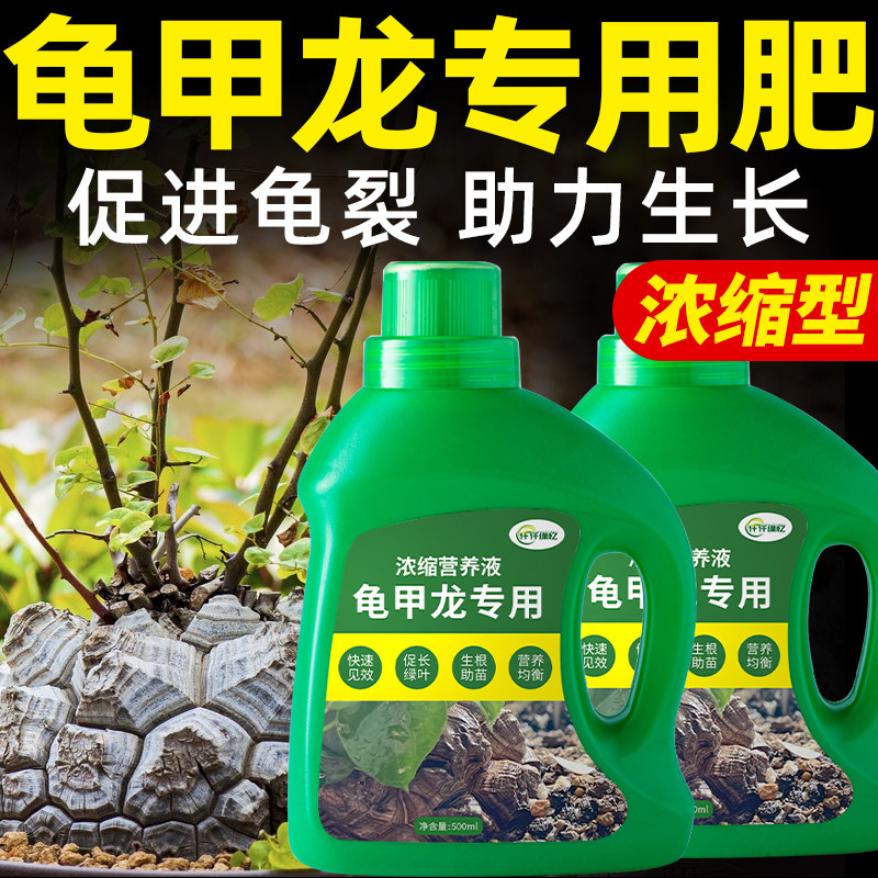 龟甲龙专用肥多肉营养液花卉绿植肥料盆栽植物家庭园艺水溶复合肥,鲜花速递/花卉仿真/绿植园艺,介质/营养土,淘宝优惠券,粉丝福利购,淘宝优惠卷