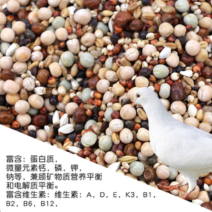 鸽粮5斤鸽子饲料50鸟食信鸽幼鸽高粱小麦谷子无玉米鸽子粮包10邮