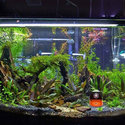 4 Pcs Coral Racks Fluorescent Holders Breeding Acrylic Fish