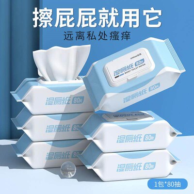 Family Value Pack of Flushable Wet Wipes for Toilet Cleaning