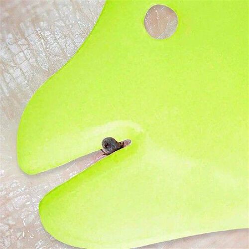 4Pcs Pet Cleaning Supplies With Magnifying Glass Flea And
