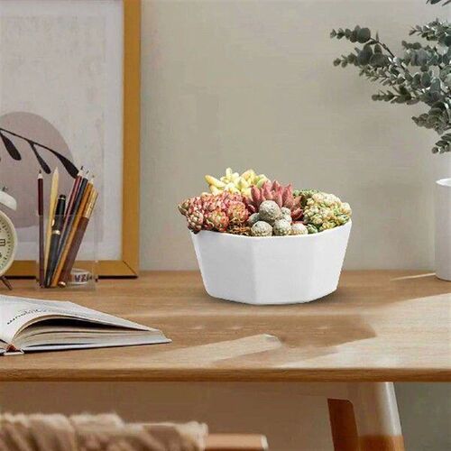 Simple Fashion Flower Pots Large Diameter Plastic Planters