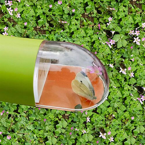 Insect Observer Push Type Bug Catcher Bug Observer Quick-Rel