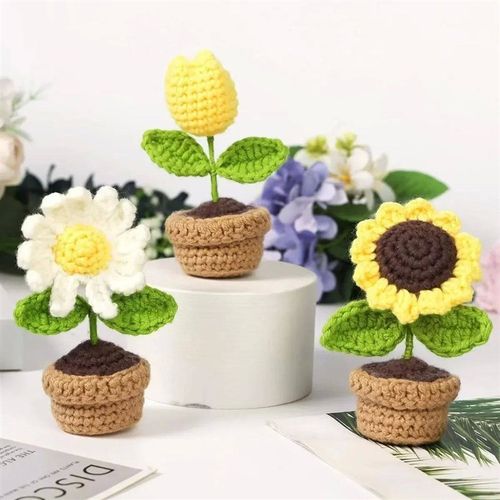 Crochet Kit for Beginners Starter Kits for Adults Craft Knit