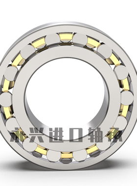 调心滚子轴承2118 20 22 2 2 28 C K /W33