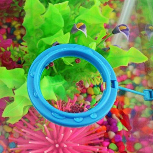Fish Feeding Aquarium Fish Tank Ring Feeder Station Floating