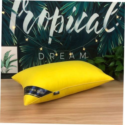 Pillow Healthy pillows feather velvet hotel pillow for bed
