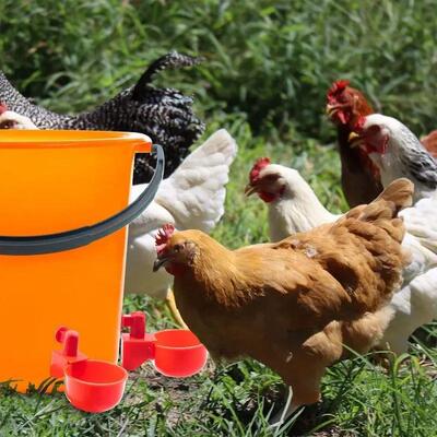 10/20/30Pcs Chicken Waterer Cups Chicken Feeder Cup for Chic