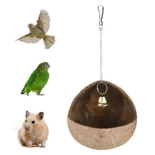 Coconut Bird House Natural Bird Hideaway And Parakeet Nest