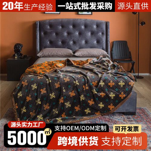Thickened double-layer coral fleece anti-static blanket