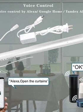 WiFi Mini Motorize Roller Blind Motor 25mm Tuya Smartlife Ap