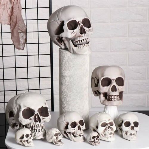 All Size Human Skull Head Skeleton Halloween Style Photo Pro