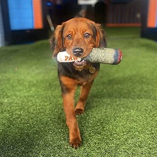 Funny Interactive Dog Toys - Cigar Design Plush Squeaky Pet