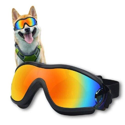 Pet Goggles Pet Photography Tools Outdoor Pet Hiking