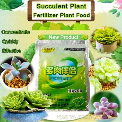 1pc Organic Succulent fertilizer companion concentrate Anti-