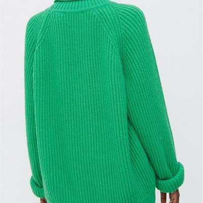Solid Knitted Womens Turtleneck Sweater Pullovers Female Lo