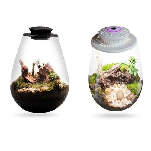 Desktop Glass Plant Terrarium with Grow Light Indoor Plant