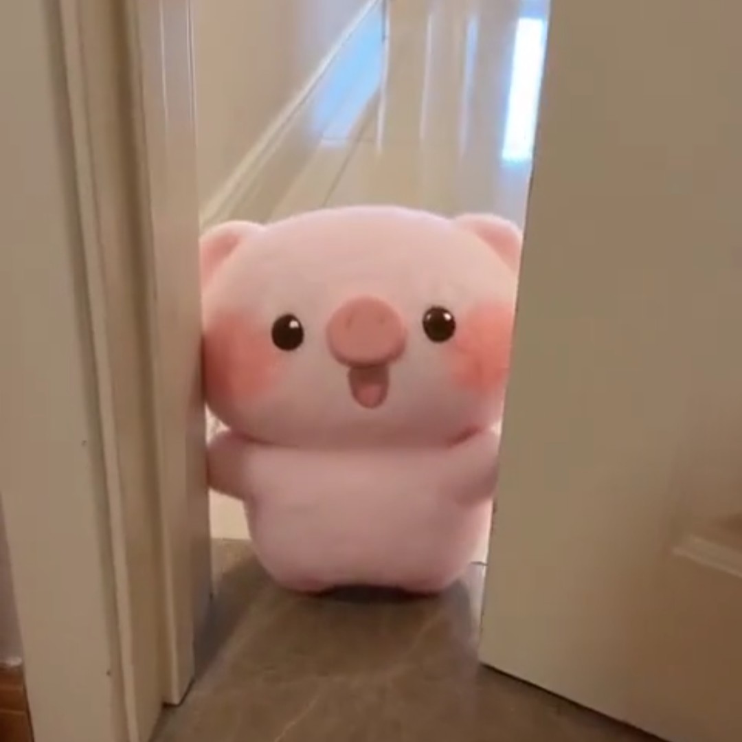 可爱小猪毛绒公仔摆件生日礼物