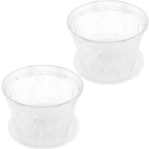 Transparent Butterfly Orchid Special Flower Pot Clear Pots
