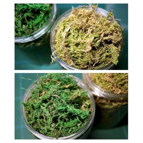 Green Yellow Artificial Grass Micro Landscape DIY