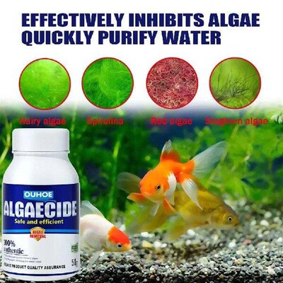 Aquarium Algaecide Water Algae Control Fish Tank Moss