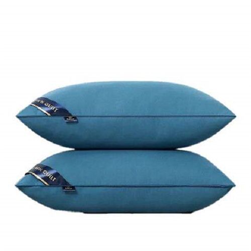 Pillow Healthy pillows feather velvet hotel pillow for bed