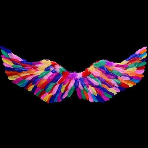 Girls Princess Angel Wings Skirt Tutu Flower Headband