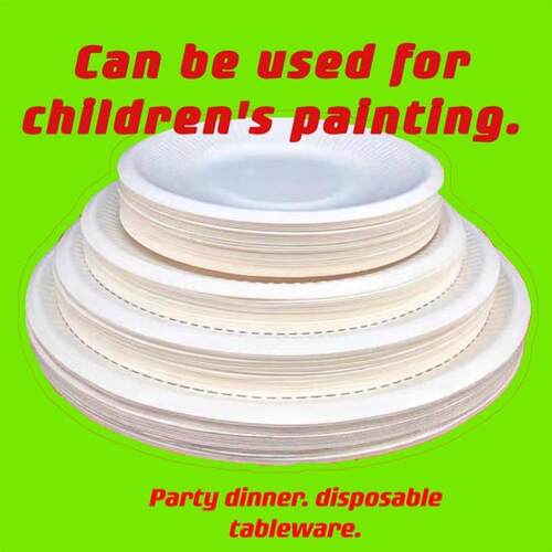 disposab le paper plates cake dish Children