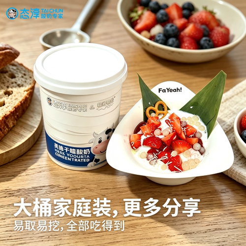 态淳希腊冷萃酸奶商用2斤大桶装