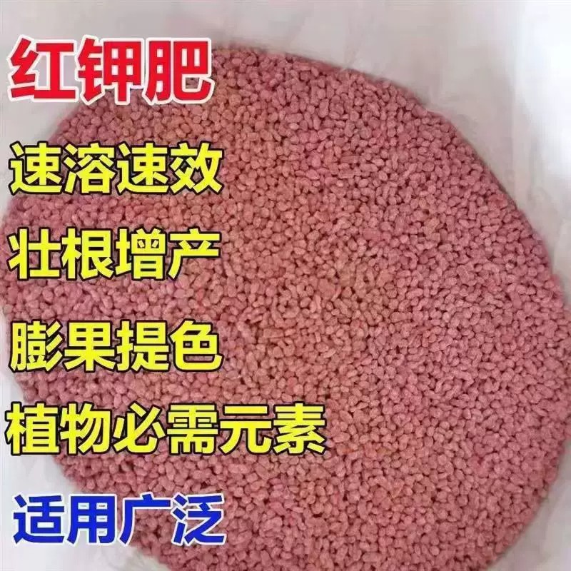 俄罗斯进口钾肥颗粒农用氯化钾红钾叶面肥保花促果花卉果树水溶肥