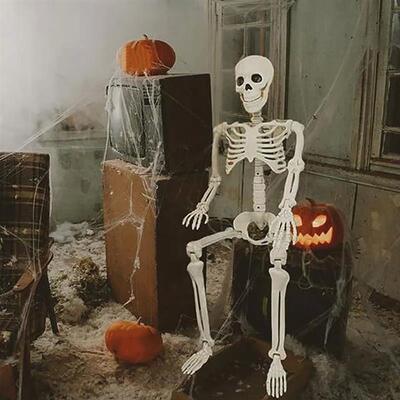 Halloween Decorations Skeleton,Posable Human Shape Skeleton,