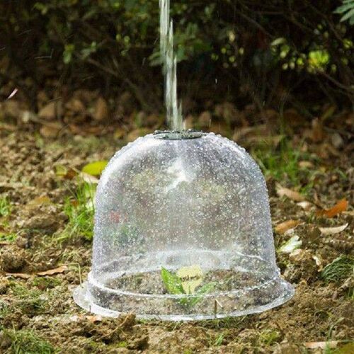 10pcs Plant Protect Bell Covers Reusable Plastic Clear